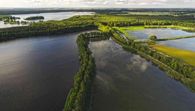 Te murale przedstawiają znane osoby! Stworzył je artysta, który podpisuje się pseudonimem “Mucha"