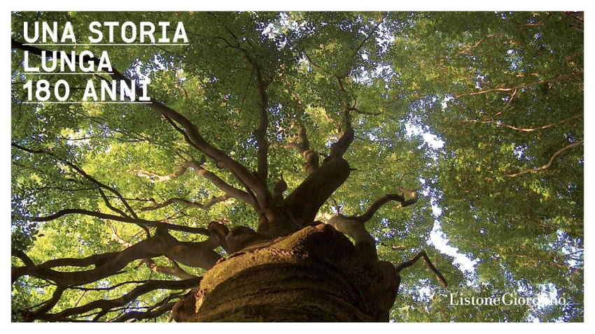 Listone Giordano, Las Fontaines, cykl życia lasu