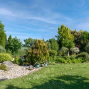 Jesień to dobry termin na sadzenie drzew...