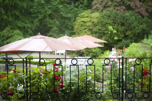 Jak zaprojektować mały ogród przy zabudowie szeregowej?