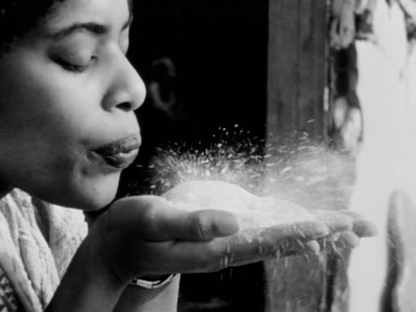 Barbara McCullough, Water Ritual #1: An Urban...