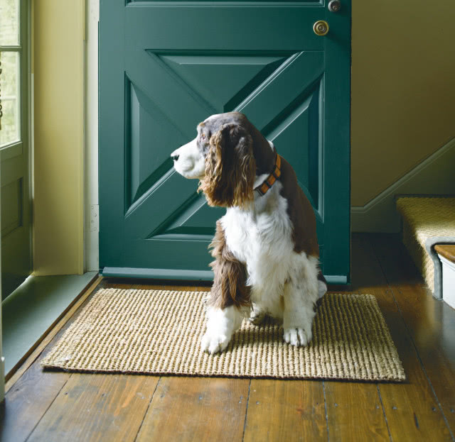 Zawsze czyste ściany dzięki farbie "Regal Select 548" marki Benjamin Moore