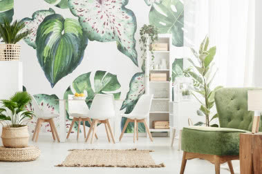 Urban jungle, czyli dom pełen zielonej energii