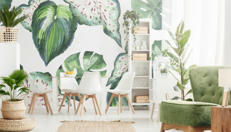 Urban jungle, czyli dom pełen zielonej energii