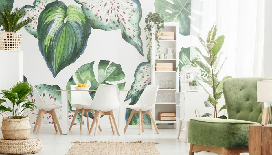 Urban jungle, czyli dom pełen zielonej energii