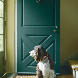 Zawsze czyste ściany dzięki farbie "Regal Select 548" marki Benjamin Moore