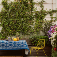 Przestronne mieszkanie na warszawskim Wilanowie z tarasem na dachu