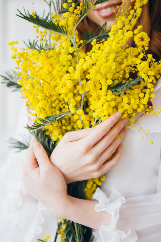 Mimoza - jak wygląda i jak ją uprawiać?