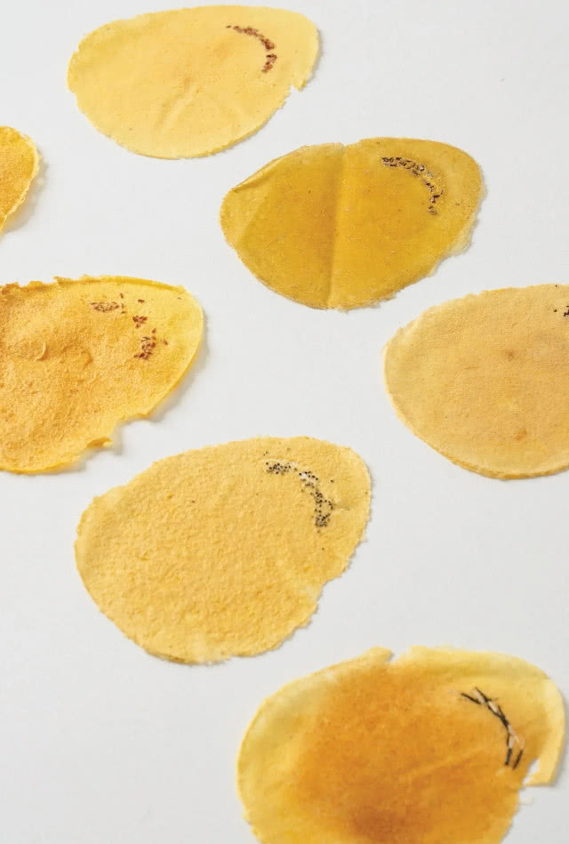 pojedyncze płatki papieru