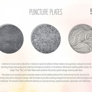 Pierwsza nagroda: PUNCTURE PLATES - Maria Grądzka