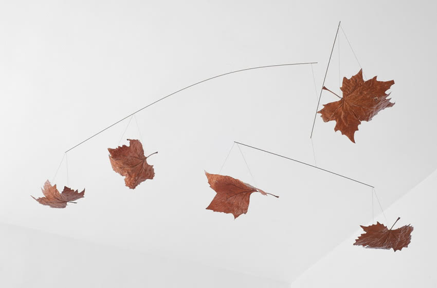 Instalacja MobileFeuilles, Franҫois Azambourg