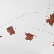 Instalacja MobileFeuilles, Franҫois Azambourg