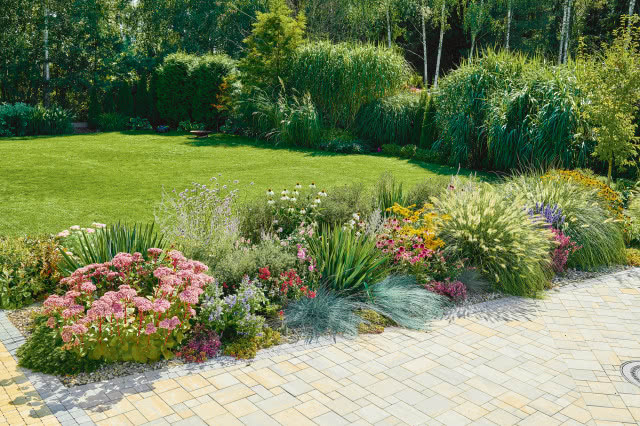 byliny wokół tarasu