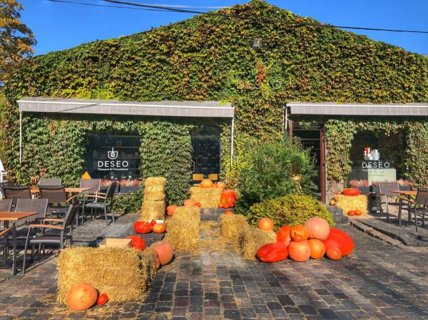 fot. facebook.com/deseo