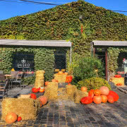 fot. facebook.com/warszawskilukier/