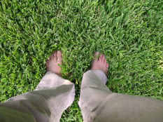 zielony trawnik pod stopami