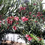 Monika Stolarska, “Burzany II”, 2019, olej,...