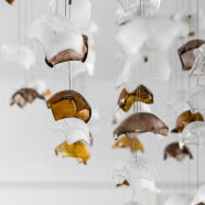 170-metrowy apartament marzeń na Riwierze Orłowskiej