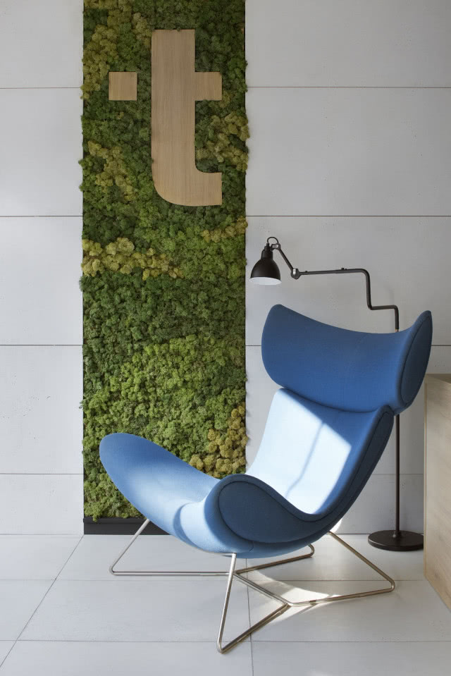 Niebieski fotel nowoczesny i ściana z mchu
