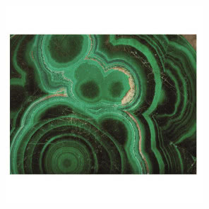 Dekoracja ścienna Green Corall on Gold,
WESTWING