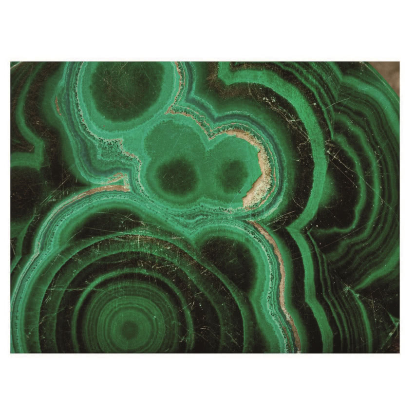 Dekoracja ścienna Green Corall on Gold,
WESTWING