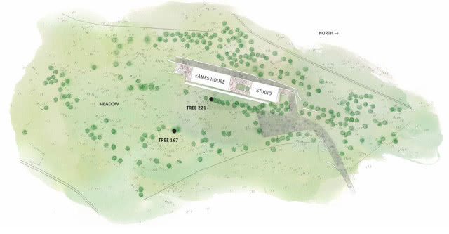 Ray Eames - zbuntowana artystka i projektantka. To ona stworzyła dom Eamesów