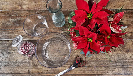 Kwiatowe ozdoby z hippeastrum na Boże Narodzenie
