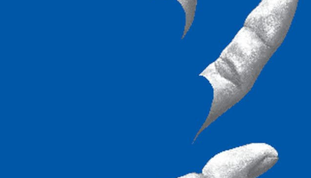 23. Międzynarodowe Biennale Plakatu