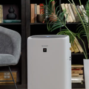 Jaki oczyszczacz powietrza najlepiej wybrać?