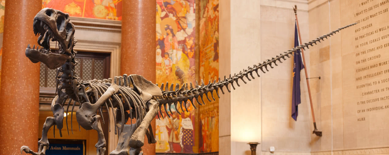 Powstanie Muzeum Historii Naturalnej w Warszawie. PAN rozpoczęła prace