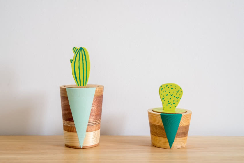 Kaktusy to ulubione rośliny załogi Wood & Paper....