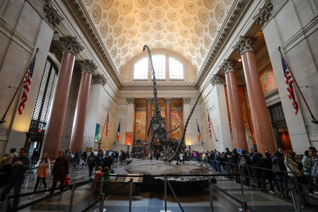 szkielet dinozaura przy wejściu do muzeum