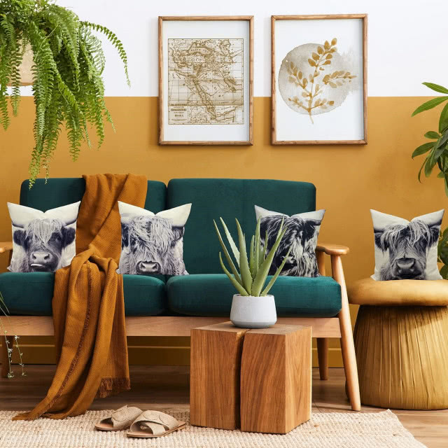 kanapka zielona i ściana musztardowa