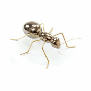 Ręcznie robiona mrówka ceramiczna Gold
