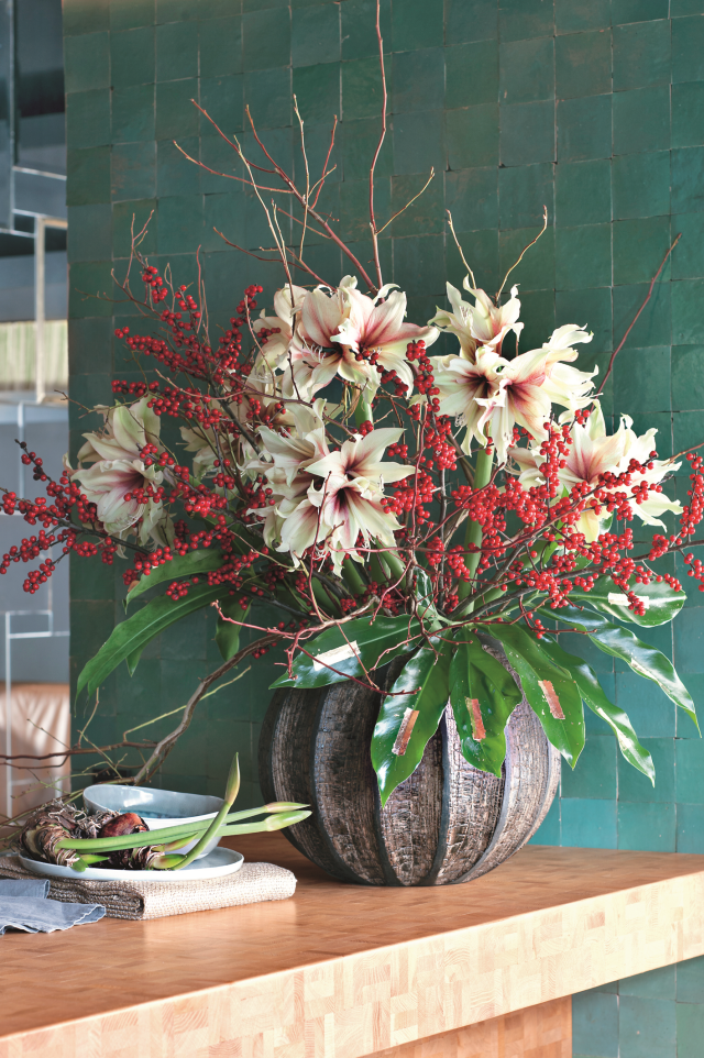 Hippeastrum amarylis