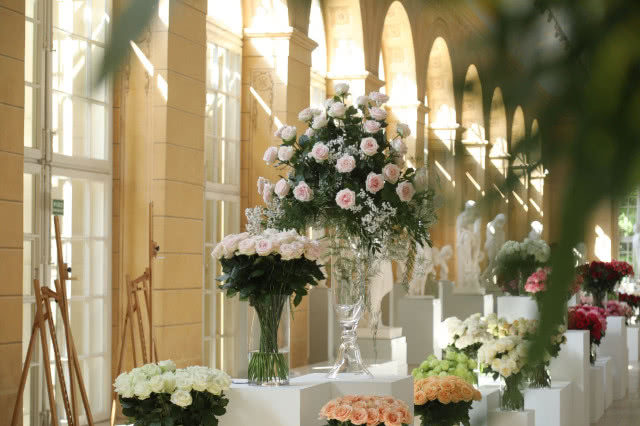 wystawa bukietów róż