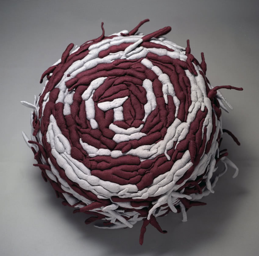 Zakręcone
Projektantki posiadają wykształcenie...