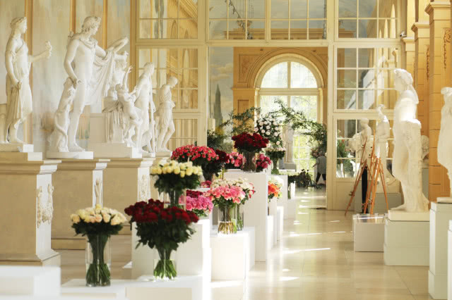 wystawa bukietów róż