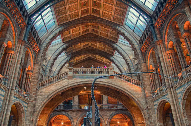 hol główny Muzeum Historii Naturalnej w Londynie