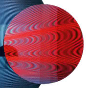 DYWAN OGGIAN ITALIAN TIGER  Qeeboo, 1599 zł