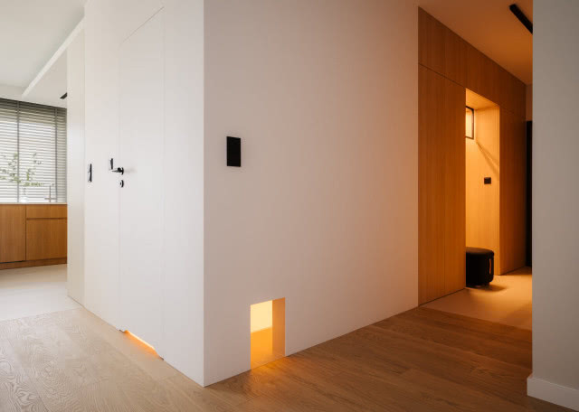 otwór dla kota w ścianie łazienki