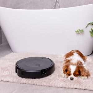 Jak automatyczny odkurzacz potrafi zadbać o czystość domu, jak też o jego piękno?