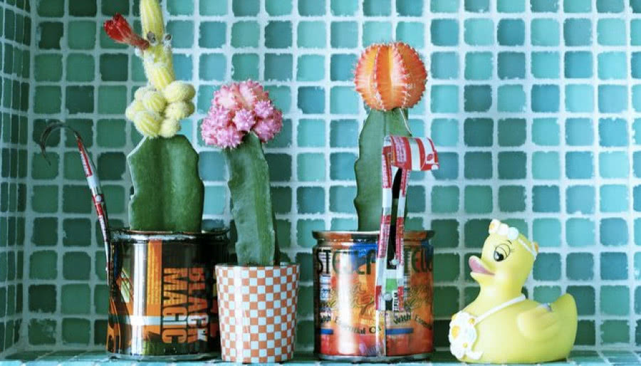 Uprawa kaktusów w okresie zimowania