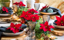Poinsecje - gwiazdy zimowych dekoracji, które odmienią dom i świąteczny stół