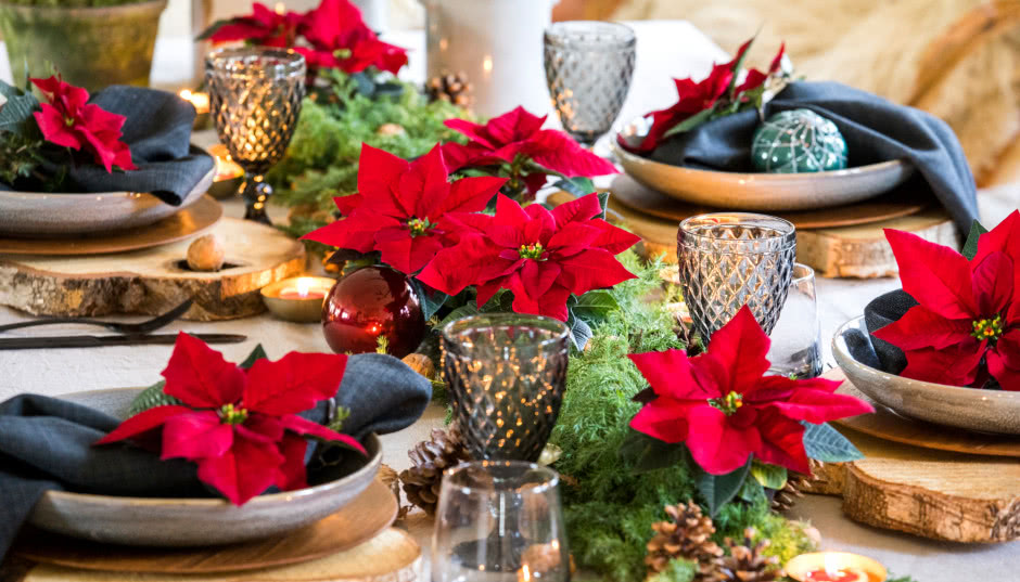 Poinsecje - gwiazdy zimowych dekoracji, które odmienią dom i świąteczny stół