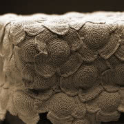 Mroczna róża
Opracowana przez projektantki...