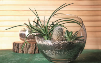 Krajobraz w miniaturze - ogrody w szkle