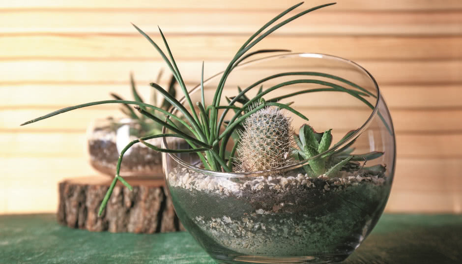 Krajobraz w miniaturze - ogrody w szkle