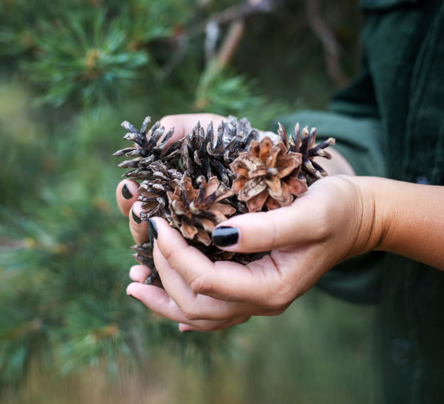 Dom malowany historiami