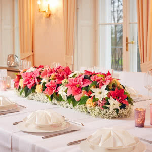 Poinsecje - gwiazdy zimowych dekoracji, które odmienią dom i świąteczny stół